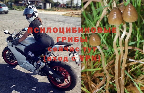 СК Сосновоборск