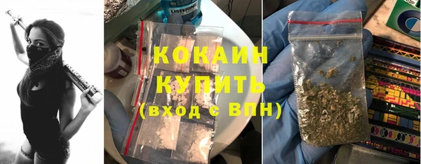твердый Сосновка